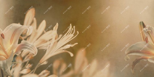 Inkiostro Bianco INKISSU2503 Flamenco Armonia - mural w lilie