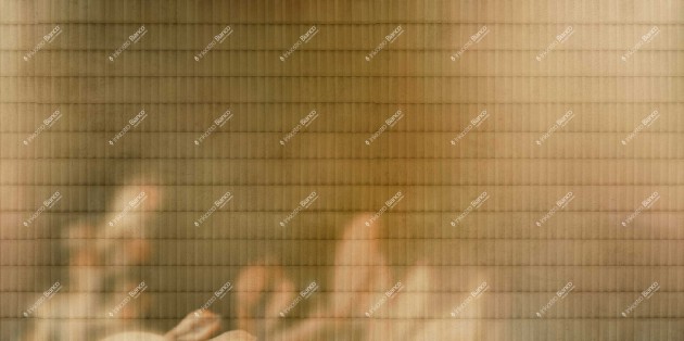 Inkiostro Bianco INKISSU2504 Flamenco Armonia - mural w lilie imitujący płytki