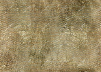 393fa789ad4cea32c64a1330e53b24c2