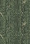 db2c3e20cd154514c40fd10ed7159365