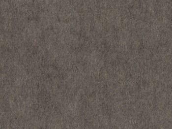 3660fca2b7766aafb7c6cd04c14ff4c3