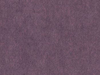 e5bd199dc74498f9ae0c7dcaf37b8e79