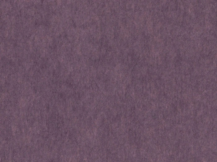 e5bd199dc74498f9ae0c7dcaf37b8e79