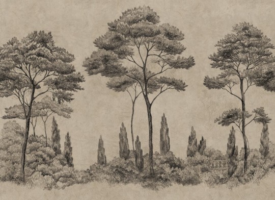 Sandberg S10694 Villa Como Andrea Graphite - mural w drzewa