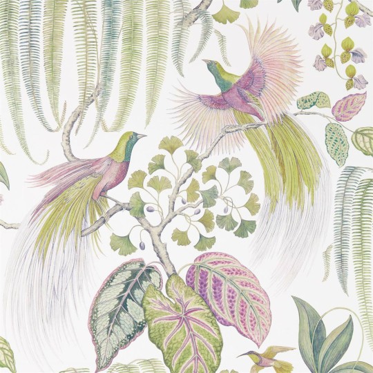 Sanderson DGLW216654 Glasshouse Bird Of Paradise Orchid - tapeta w rajskie ptaki