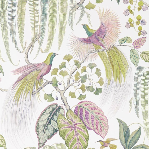 Sanderson DGLW216654 Glasshouse Bird Of Paradise Orchid - tapeta w rajskie ptaki