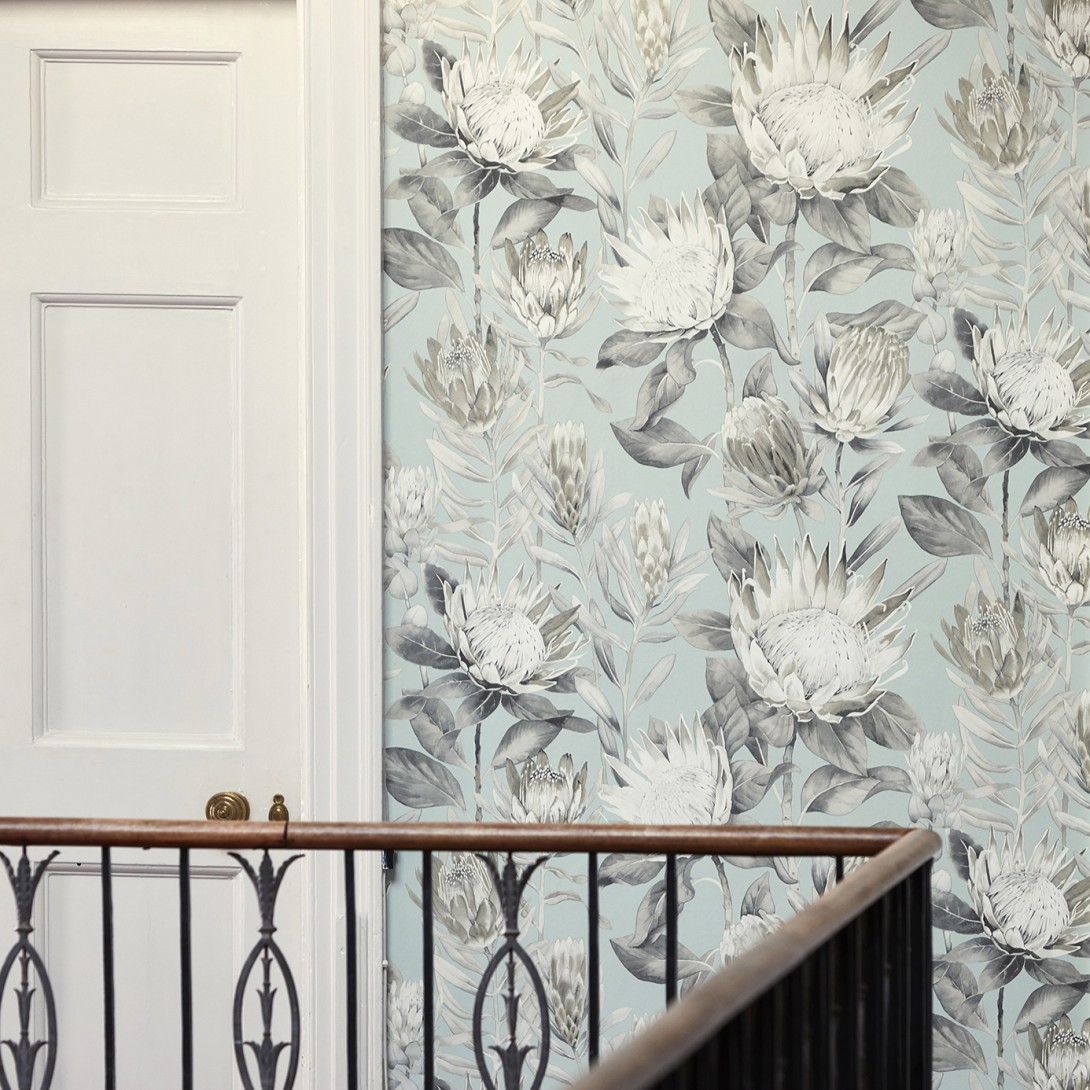 Sanderson DGLW216646 Glasshouse King Protea Rhodera/Cream - tapeta w kwiaty protei