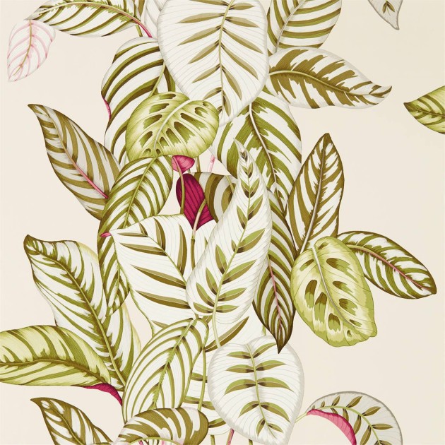 Sanderson DGLW216631 Glasshouse Calathea Olive - tapeta w liście kalatei