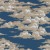 9d1448115b3a93064c0a5b72ad94444b