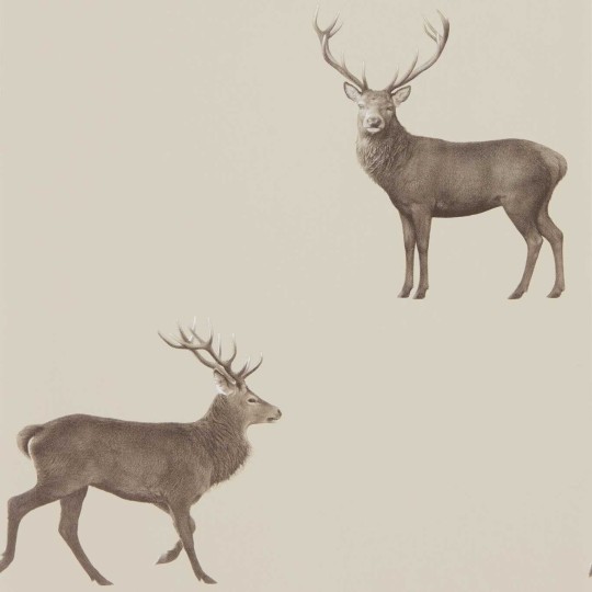 Sanderson DYSI216618 Elysian Evesham Deer Birch - tapeta w jelenie