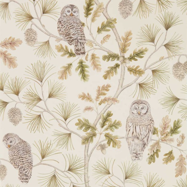 Sanderson DYSI216597 Elysian Owlswick Briarwood - tapeta w sowy