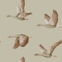f3e78664643dc64efae4c32ab58f7f48