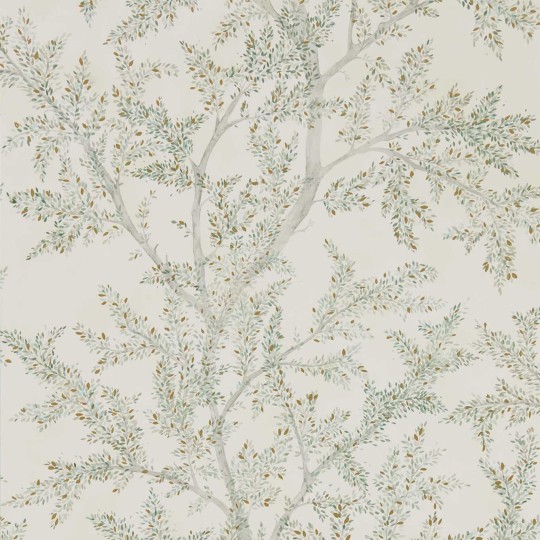 Sanderson DYSI216614 Elysian Farthing Wood Sage Grey - tapeta w brzozy