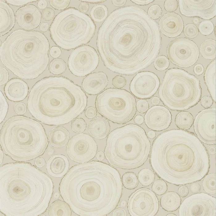3df8076fa7a06cbe2ef083ca5a046c97