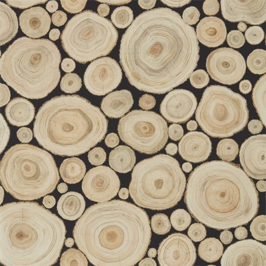 Sanderson DEBB216510 Embleton Bay Alnwick Logs Lacquer Black - tapeta w słoje drzew