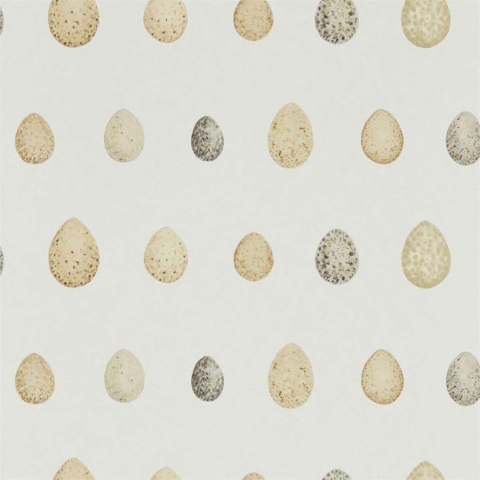 Sanderson DEBB216505 Embleton Bay Nest Egg Corn Graphite - tapeta w jajka