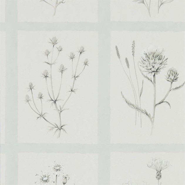 Sanderson DEBB216513 Embleton Bay Little Thistles Grey Blue - tapeta w dzikie kwiaty i kratę