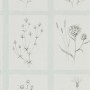 e77017517380dcff2fbe80e95664522f
