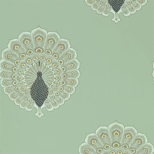 Sanderson DCPW216759 Caspian Kalapi Sea Glass - tapeta w pawie