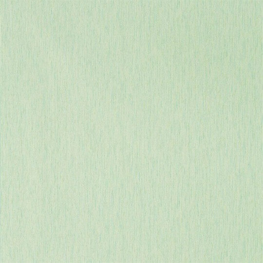Sanderson DCPW216772 Caspian Caspian Strie Grass - tapeta jednolita
