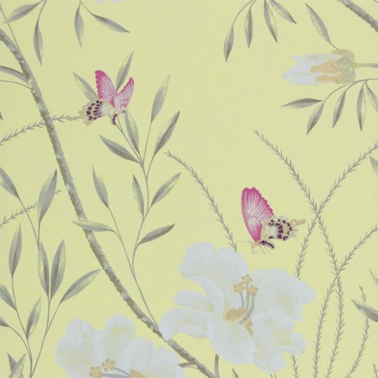 Tapeta Harlequin Boutique 75019 Papillon