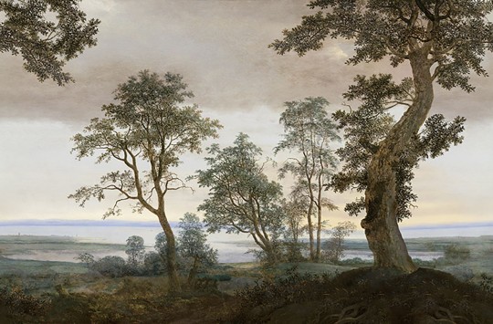 Eijffinger 351290 Magnifique - mural w pejzaż