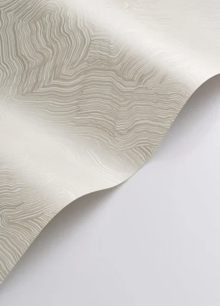 Casadeco 202021523 Elixir Infusion Champagne - tapeta z efektem mory