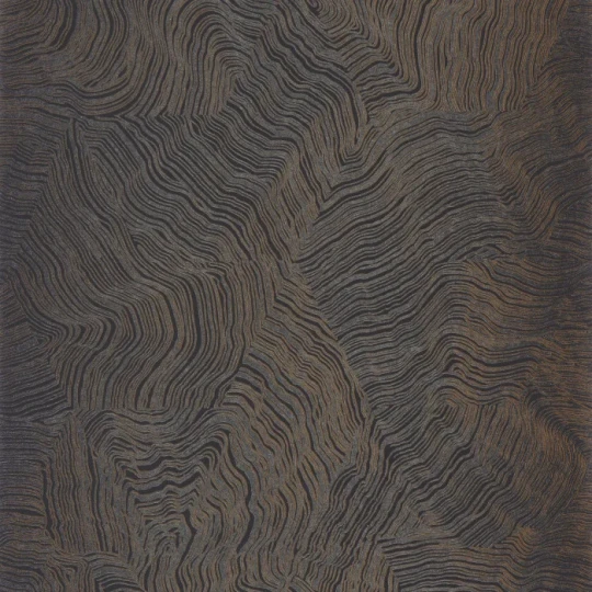 Casadeco 202029780 Elixir Infusion Noir - tapeta z efektem mory