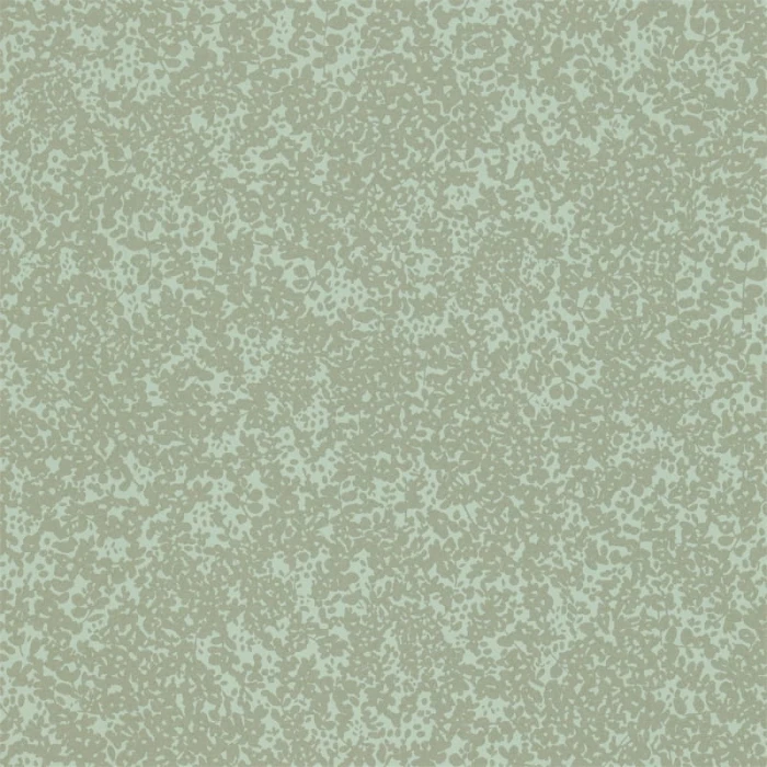 5df77f248d7899230f450c1b2f60fa7a