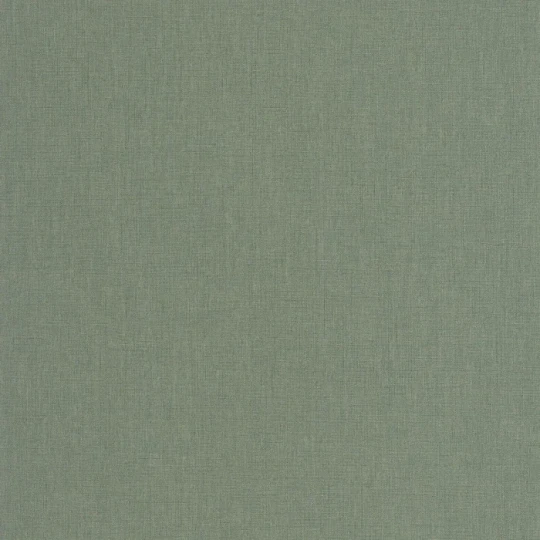 Casadeco 201177447 Rituel Caractere Vert Eucalyptus - tapeta jednolita imitująca len