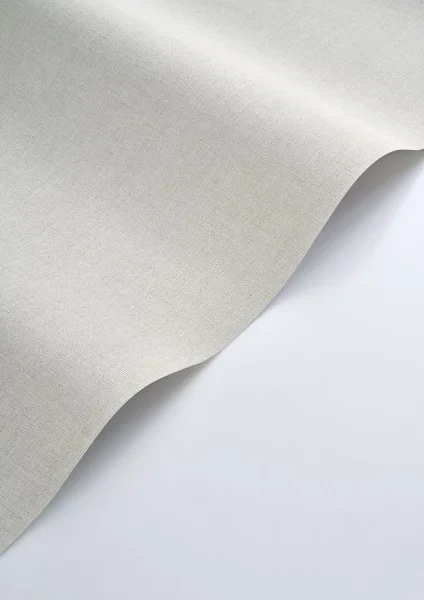 Casadeco 201179119 Rituel Caractere Gris Plume - tapeta jednolita imitująca len