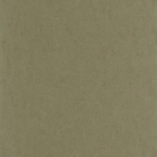 Casadeco 201977777 Rituel Arole Vert Kaki - tapeta w organiczny wzór