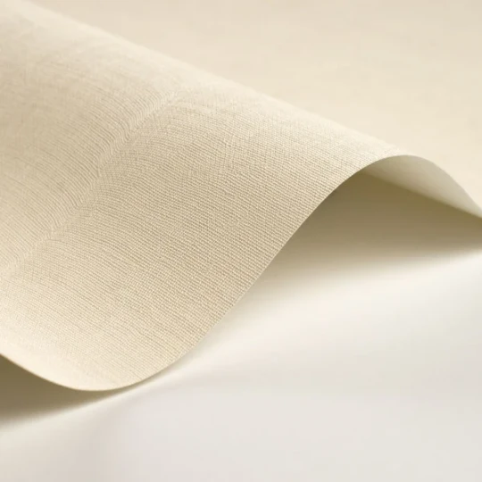 Casadeco 200250323 So Color 6 Etamine Blanc Creme - tapeta jednolita imitująca tkaninę