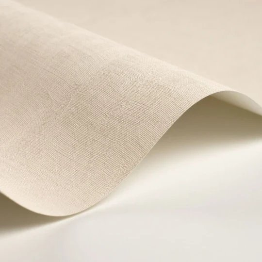 Casadeco 200250220 So Color 6 Etamine Blanc Craie - tapeta jednolita imitująca tkaninę