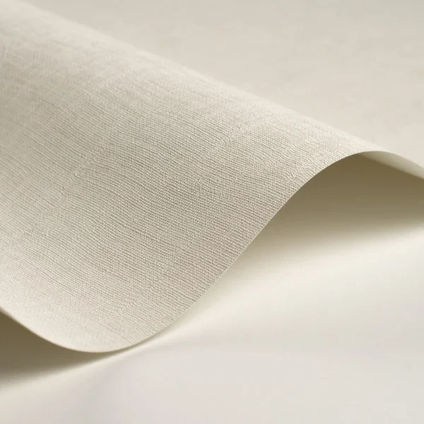 Casadeco 200250010 So Color 6 Etamine Blanc Polaire - tapeta jednolita imitująca tkaninę