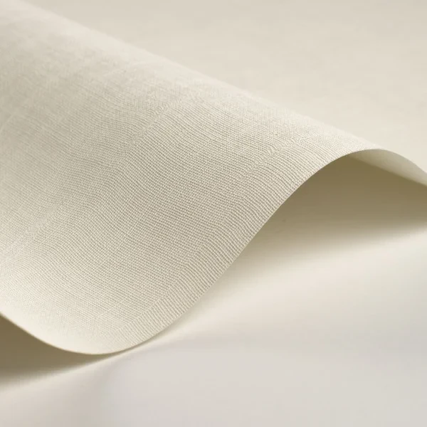 Casadeco 200250101 So Color 6 Etamine Blanc Coton - tapeta jednolita imitująca tkaninę