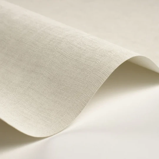 Casadeco 200250525 So Color 6 Etamine Calcaire - tapeta jednolita imitująca tkaninę