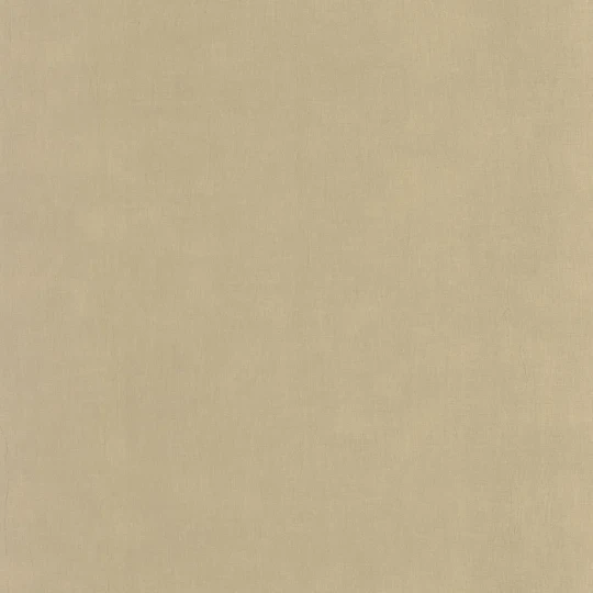 Casadeco 200251919 So Color 6 Etamine Beige Ficelle - tapeta jednolita imitująca tkaninę