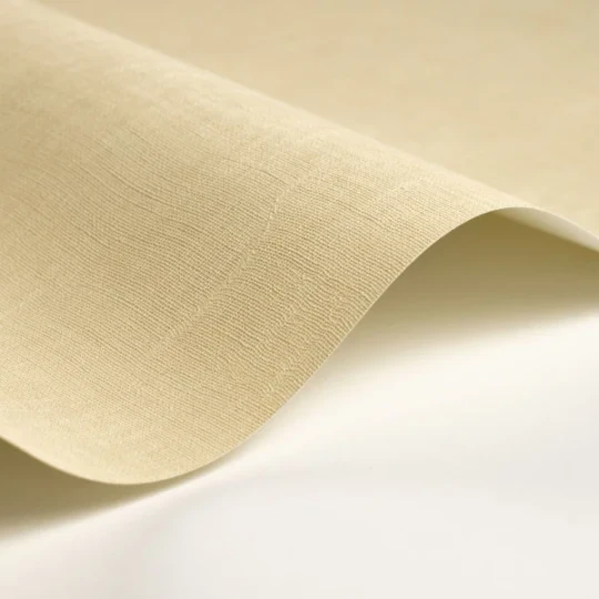 Casadeco 200251303 So Color 6 Etamine Beige Sable - tapeta jednolita imitująca tkaninę