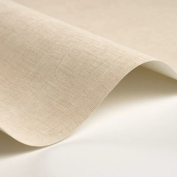 Casadeco 200251212 So Color 6 Etamine Beige Pierre - tapeta jednolita imitująca tkaninę