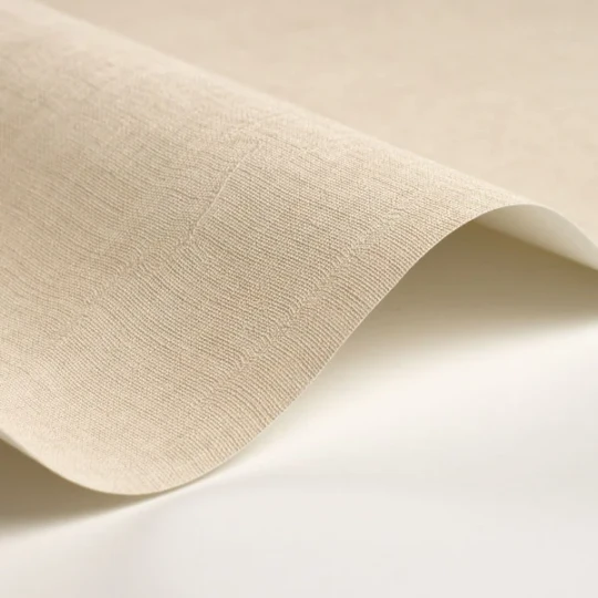 Casadeco 200251212 So Color 6 Etamine Beige Pierre - tapeta jednolita imitująca tkaninę