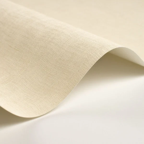 Casadeco 200252002 So Color 6 Etamine Vanille - tapeta jednolita imitująca tkaninę