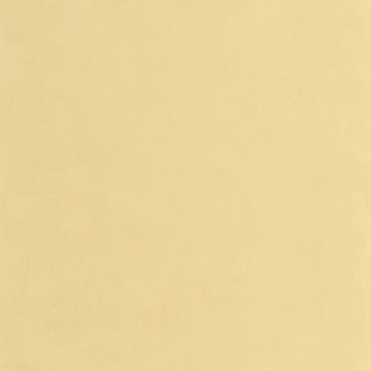 Casadeco 200252222 So Color 6 Etamine Jaune Paille - tapeta jednolita imitująca tkaninę
