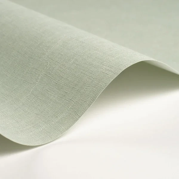 Casadeco 200257373 So Color 6 Etamine Vert Sauge - tapeta jednolita imitująca tkaninę