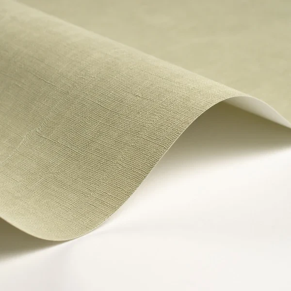 Casadeco 200257227 So Color 6 Etamine Vert The - tapeta jednolita imitująca tkaninę