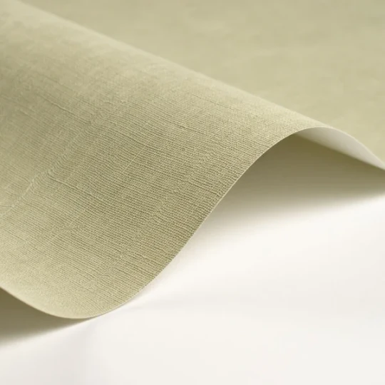 Casadeco 200257227 So Color 6 Etamine Vert The - tapeta jednolita imitująca tkaninę