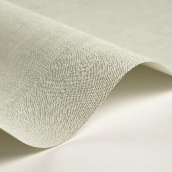 Casadeco 200257117 So Color 6 Etamine Vert d'eau - tapeta jednolita imitująca tkaninę