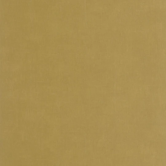 Casadeco 200257404 So Color 6 Etamine Olive - tapeta jednolita imitująca tkaninę