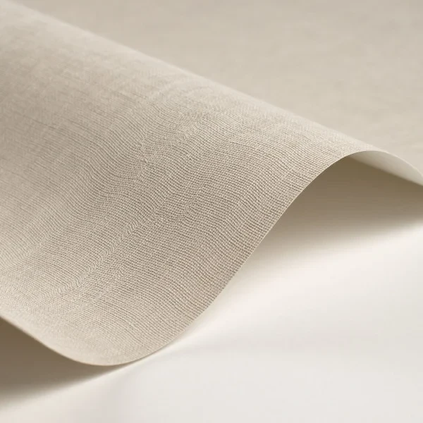 Casadeco 200259119 So Color 6 Etamine Gris Plume - tapeta jednolita imitująca tkaninę