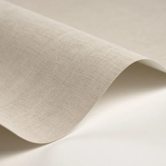 Casadeco 200259119 So Color 6 Etamine Gris Plume - tapeta jednolita imitująca tkaninę